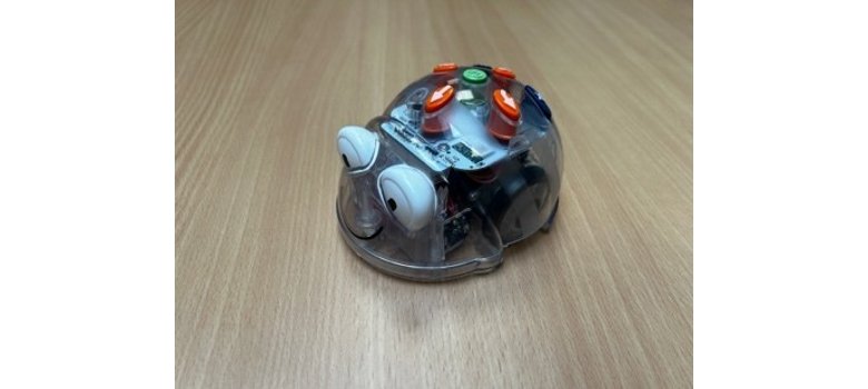 Ein kleiner Roboter, in der Form einer Computer-mouse, mit Augen ist zu sehen