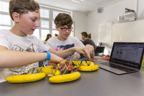 Zwei Schüler sitzen an einem Tisch auf dem 5 Bananen liegen und ein Laptop. Mit Hilfe von Strommessern versuchen die Schüler eine Stromspannung in den Bananen zu messen.